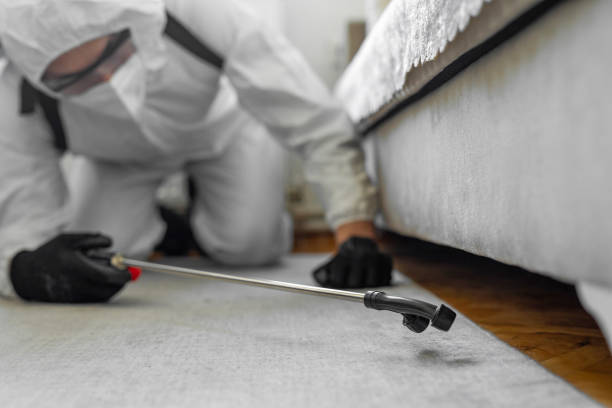 Professional Cockroach Control technician working in Center Moriches, NY