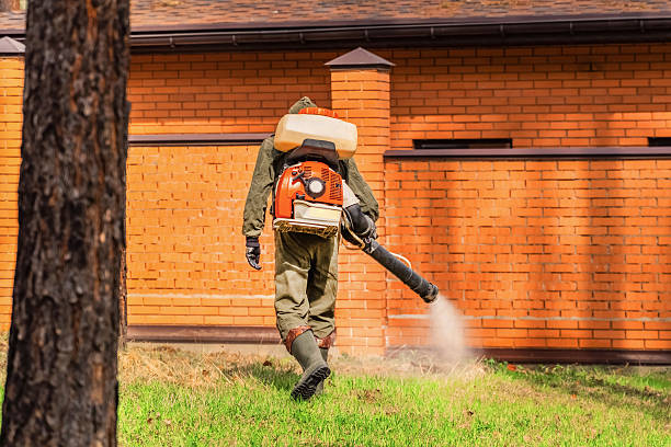 Trusted Cockroach Control service in Center Moriches, NY - Nex Pest Control